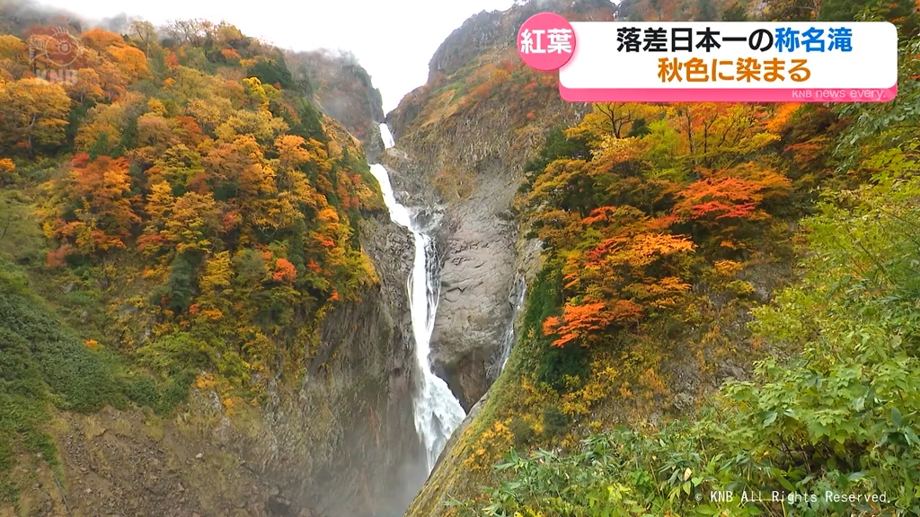 深まる秋 称名滝と紅葉 美しく 立山町（2025年11月5日掲載）｜KNB NEWS NNN