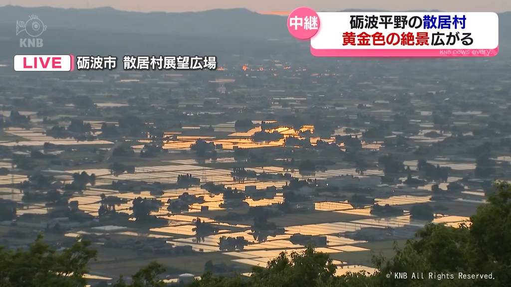 中継】田植え時期だけ見られる絶景 黄金色に輝く散居村 砺波平野の夕景