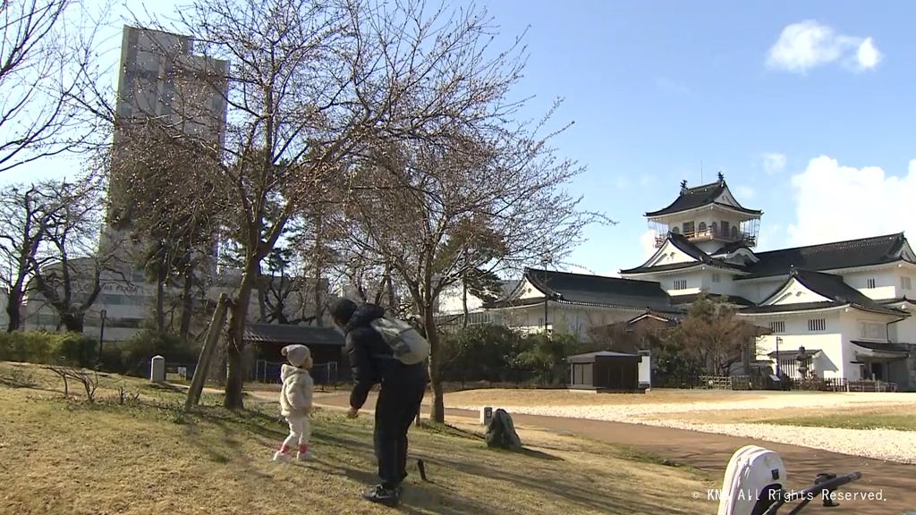 富山県内　青空広がり寒さ緩む　スギ花粉飛散に注意を