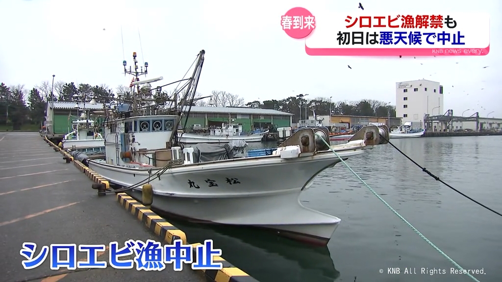 富山湾に春の訪れを告げるシロエビ漁 解禁日は悪天候で中止（2026年4月