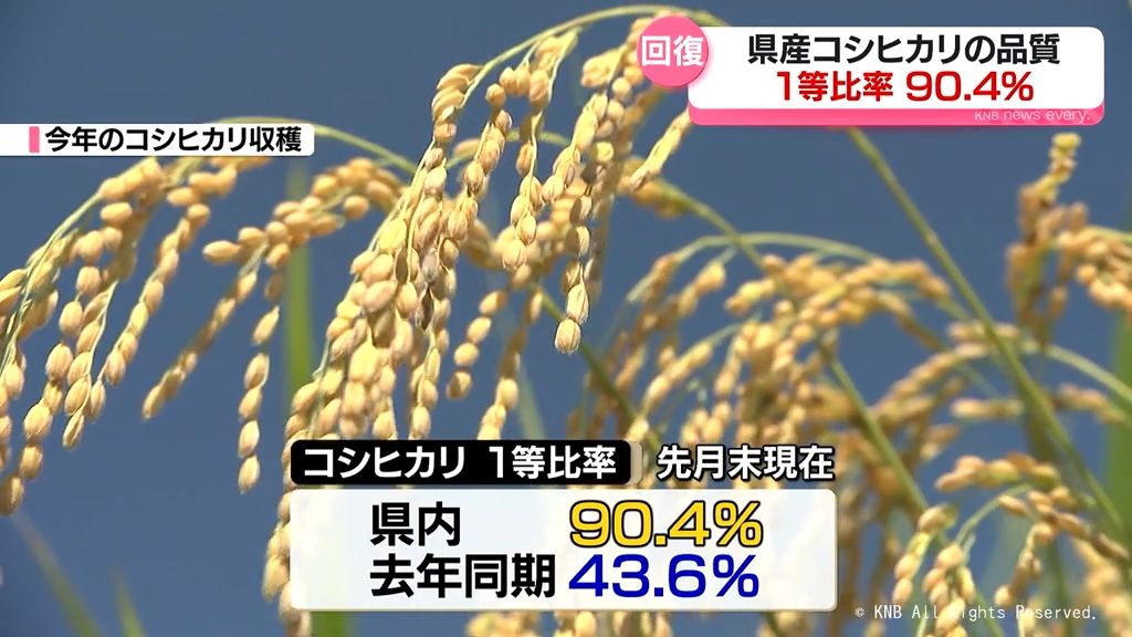 富山県産コシヒカリ１等比率９０．４％　去年を大きく上回る