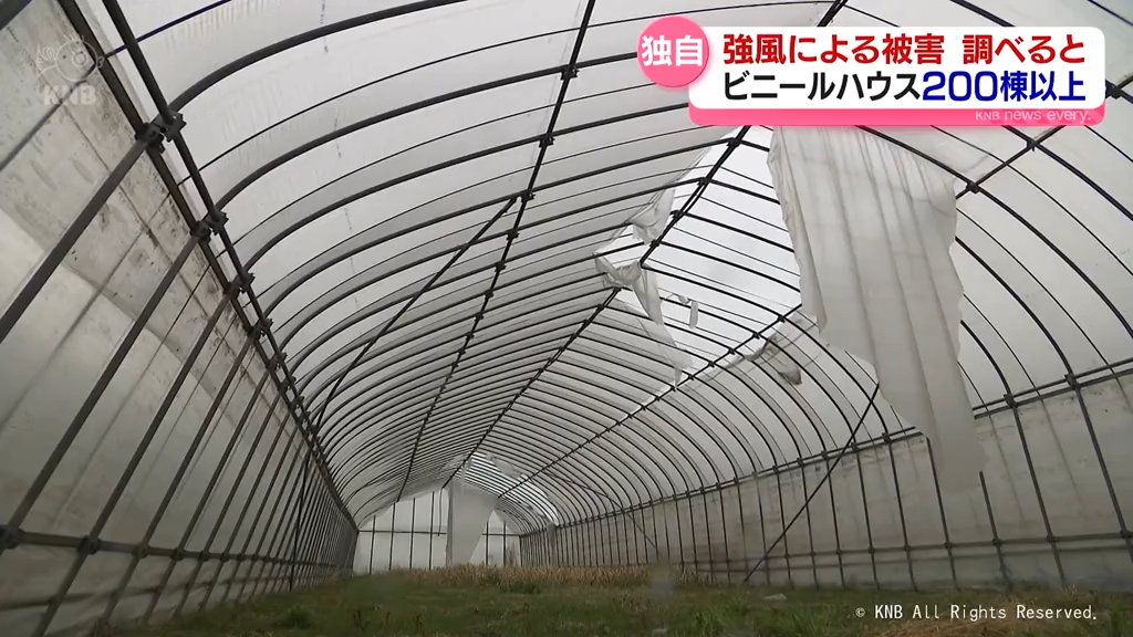 4日の強風】ビニールハウス200棟以上に被害 富山県内（2026年4月7日