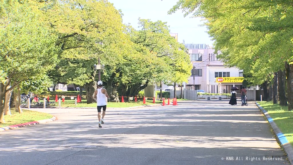 イチョウの葉　色づきはじめ　富山市の五福公園　