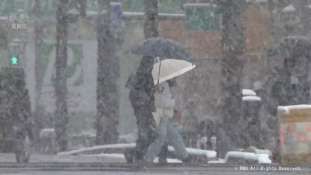 ３月の雪降り積もる　平野部でも広い範囲で積雪　富山