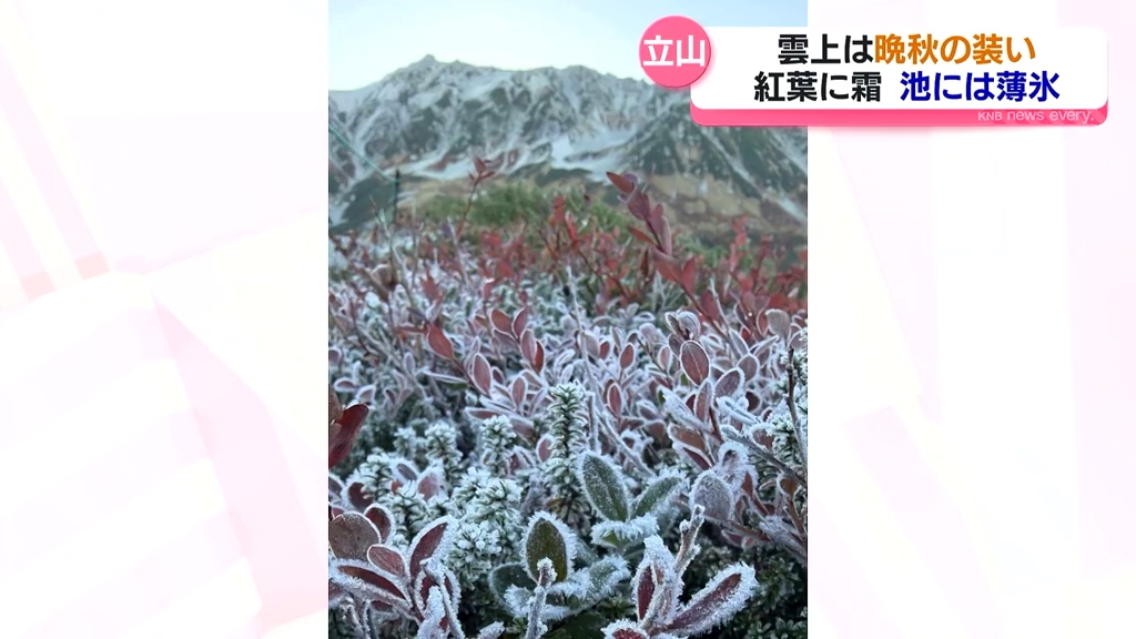 秋深まる立山　雲上は晩秋の装い　紅葉に霜　池には薄氷　