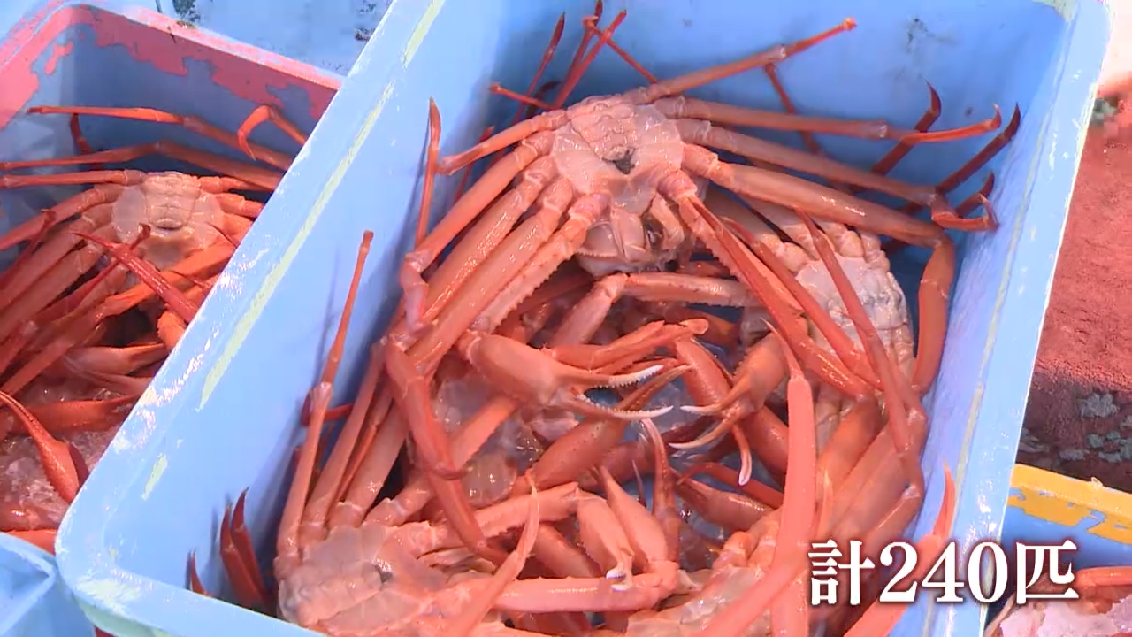 富山湾の異変…ベニズワイガニ・シロエビが不漁 続く地震の影響 （2024