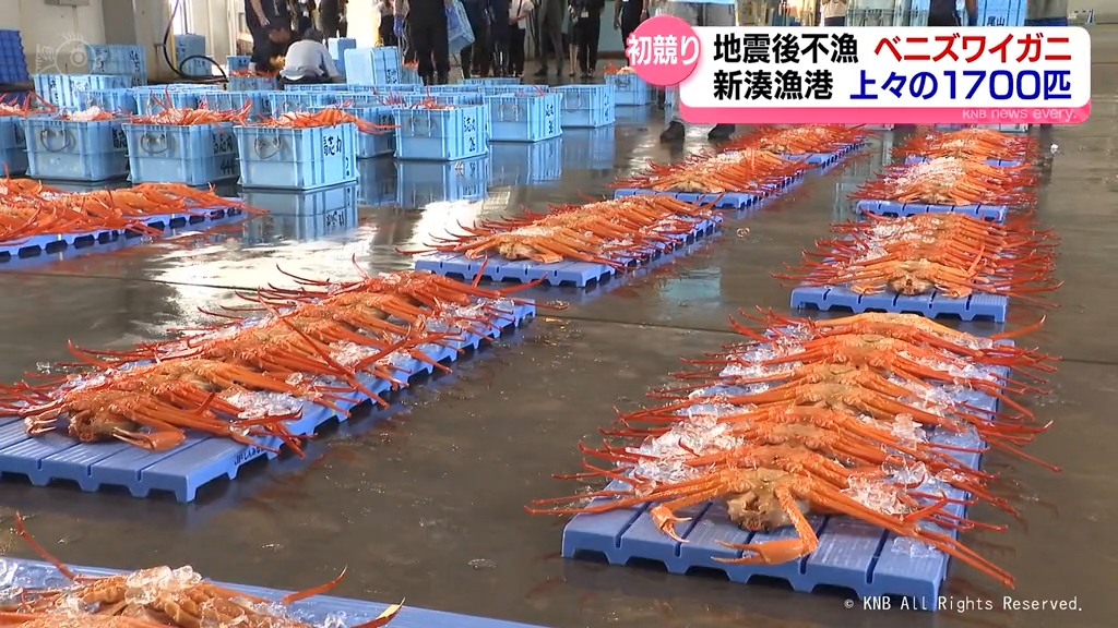 富山湾のベニズワイガニ初競り「希望が持てる」 記録的な不漁が続く