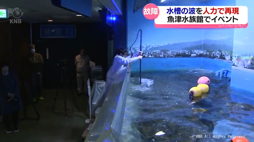 魚津水族館 水槽の波を人力で再現 装置故障を逆手に…（2025年3月20日