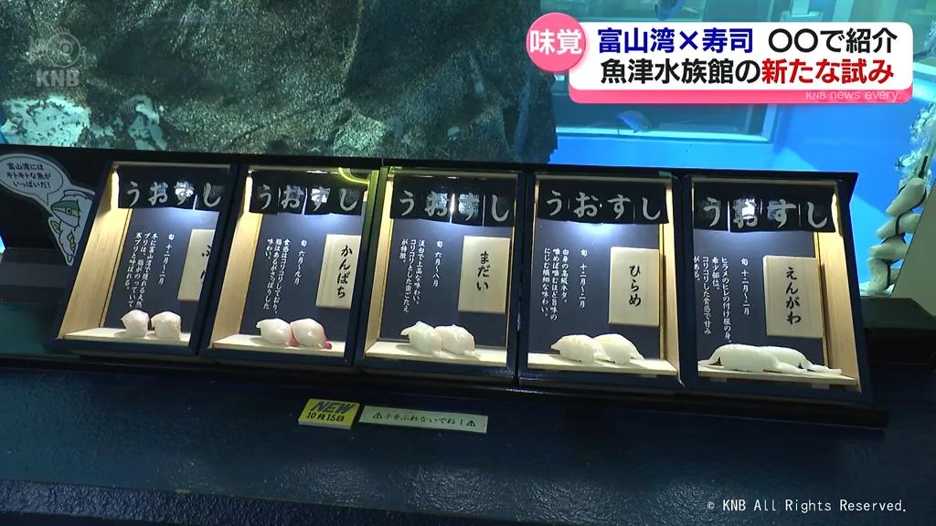 「寿司といえば、富山」だから「寿司ネタ見るなら、魚津水族館」！　新たな取り組み人気