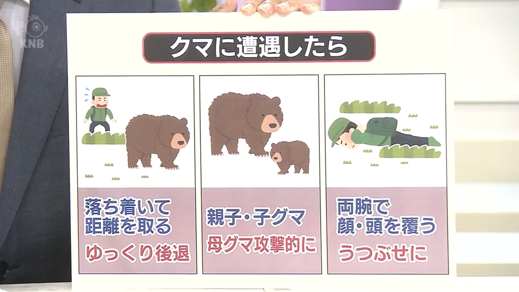 クマに遭遇したらどうする！？ゆっくり後退・両腕で頭覆ってうつ伏せに