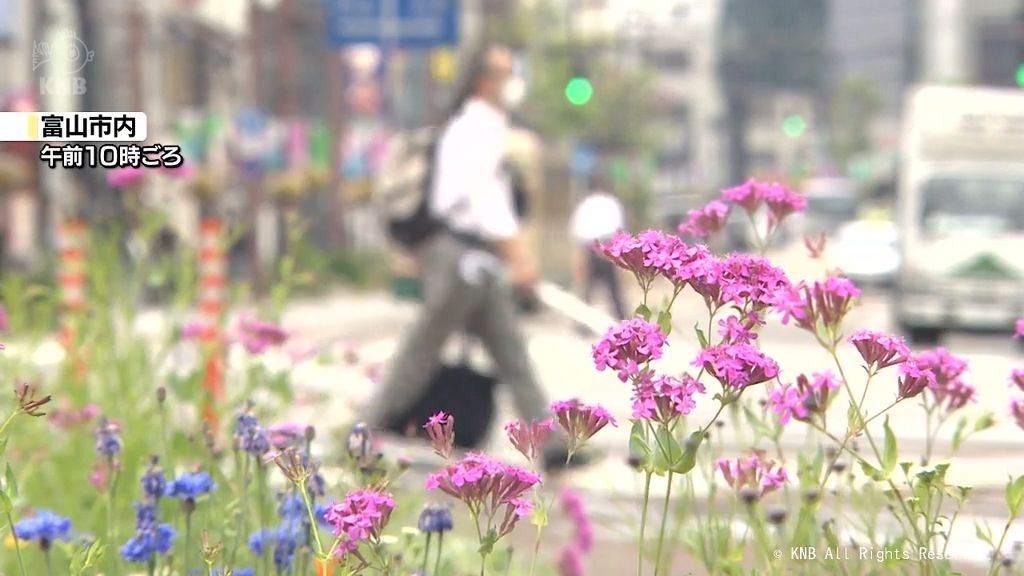 「小満」の富山県内　雲が広がるものの　過ごしやすい1日に