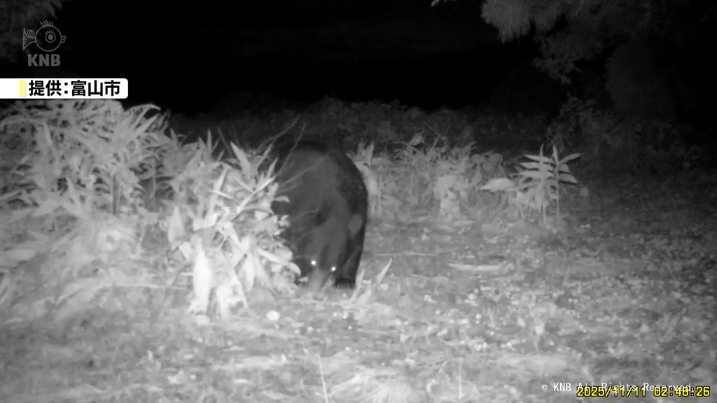 6回も…富山市大沢野地域の小学校近く AIカメラでクマを確認（2025年11