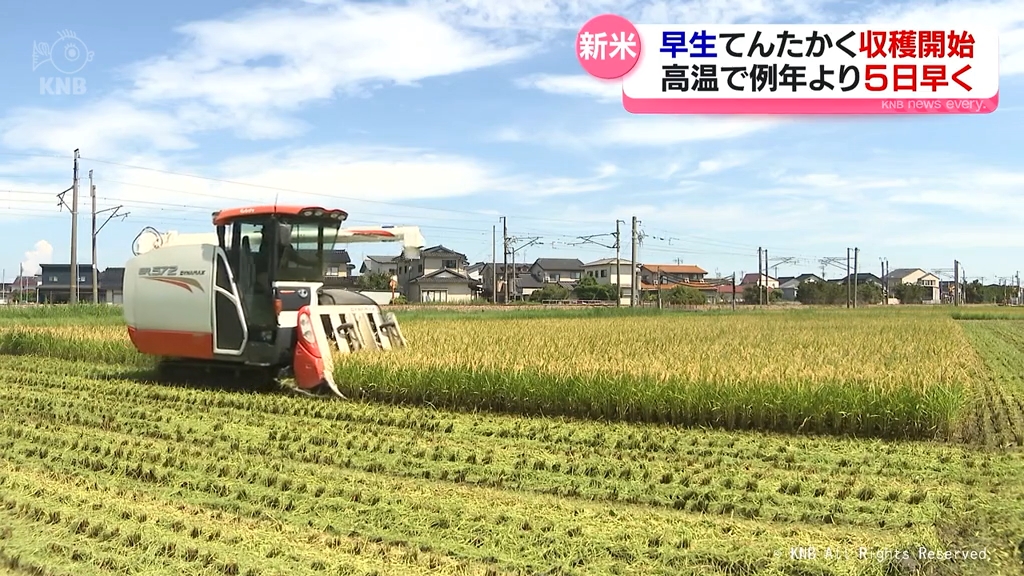 安心しておいしいお米を」早生品種「てんたかく」 刈り取り始まる 富山