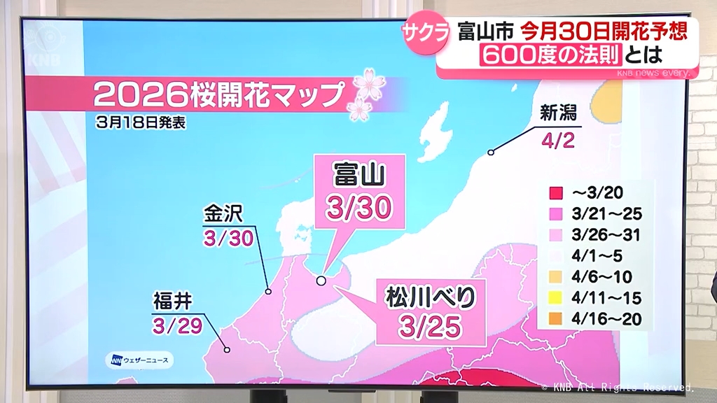 気象予報士が解説】サクラ 富山市の開花予想 今月30日 「600度の