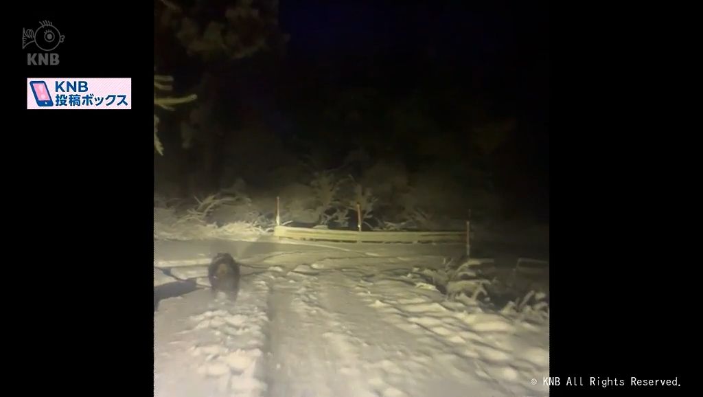 富山県内で雪中を走るクマらしき動物　出没に注意