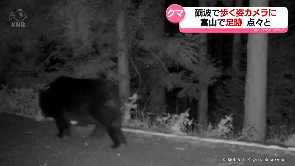 きょうも砺波や富山でクマの出没相次ぐ 11月末までピーク続く 警戒を