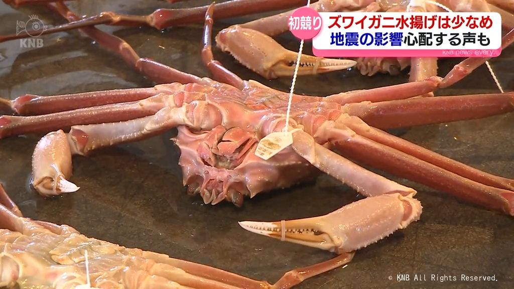 新湊漁港でズワイガニ初競り　水揚げは少なめ　地震の影響心配する声も