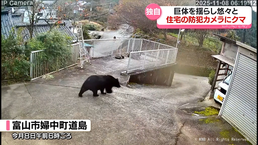 住宅敷地を横切るクマ「今年は何回も…」防犯カメラ映像 あわや新聞配達