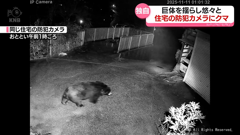 住宅敷地を横切るクマ「今年は何回も…」防犯カメラ映像 あわや新聞配達
