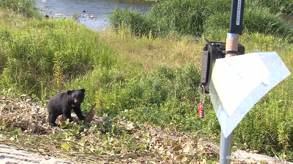 AIカメラでクマを検知 防災行政無線の自動放送 富山市で実証実験（2025