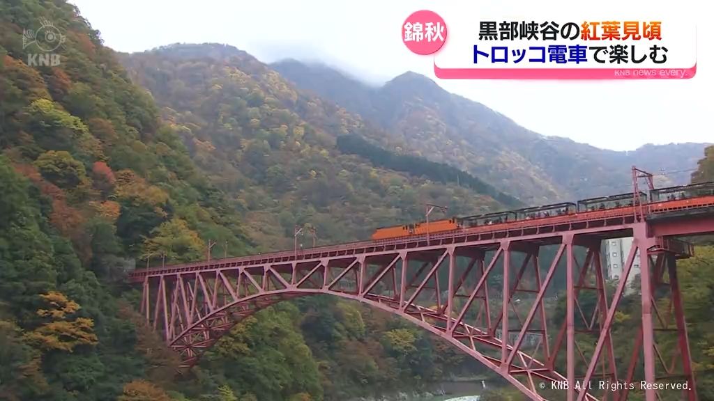 紅葉鮮やか黒部峡谷　トロッコ電車で絶景へ　今だけ降車できる”秘境駅”で記念撮影も