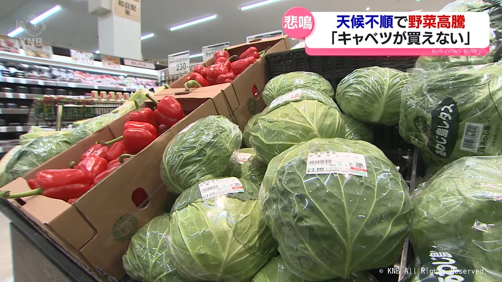 高騰】キャベツなど野菜の価格 飲食店やスーパーで「困った」（2025年1