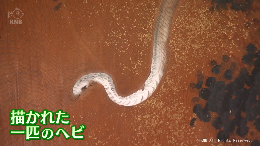 巳年に「白蛇」神社が人気 海外からも 散居村の活性化に一役（2025年1