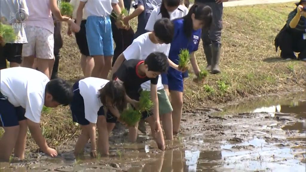 小学生が田植えを体験　16日の富山県内は大気の状態不安定に