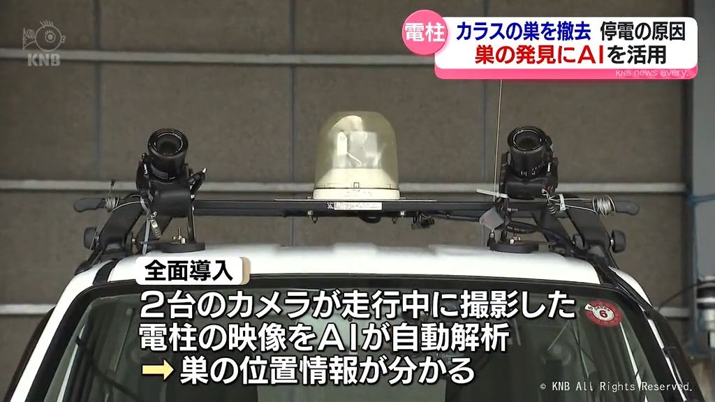 停電防げ　電柱のカラスの巣を撤去　巣の発見にＡＩを活用