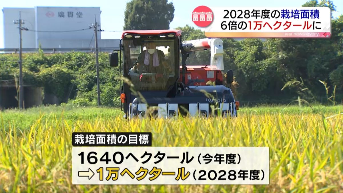 “暑さに強い”を利点に　富山県のブランド米「富富富」　栽培面積１万ヘクタールへ