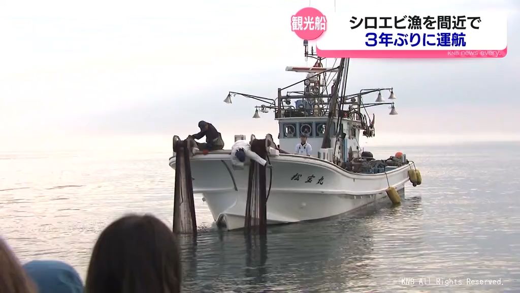 シロエビ漁観光船3年ぶり再開 「富山湾の宝石」に歓声（2026年5月8日