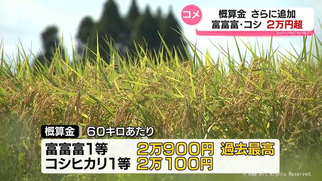幻の米。値段に見合う自信有岐阜県揖斐郡最高級等級特A米収穫