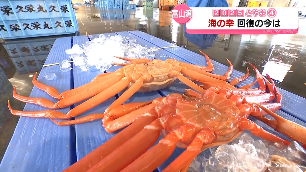 REXN20AD3ー水道パイプノネジきりです今空寒い時期には重宝します News - Edox North Sea 1967 Historical Bronze Limited Edition (Price)