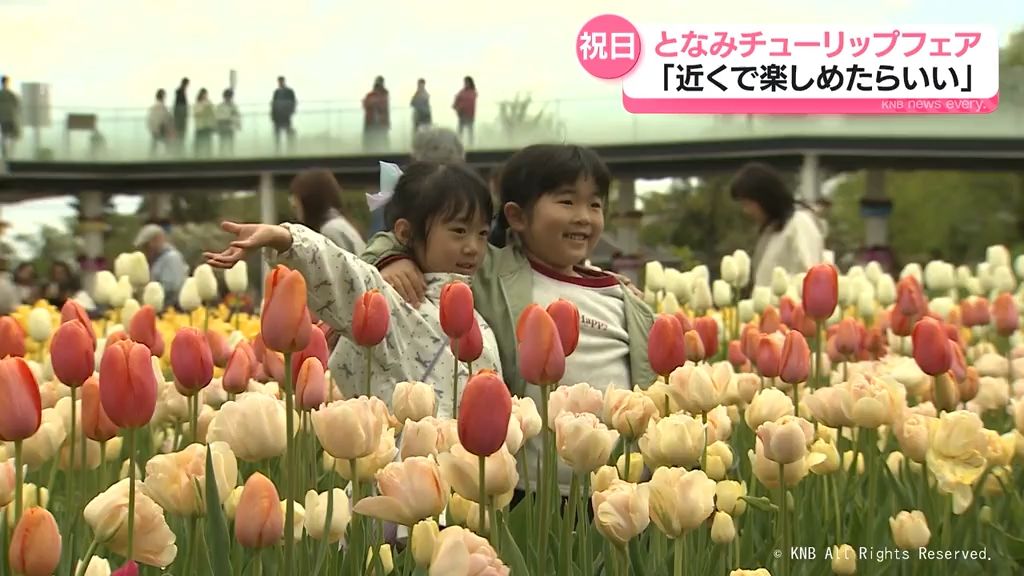 「近くで楽しめたらいい」　となみチューリップフェア　にぎわう　