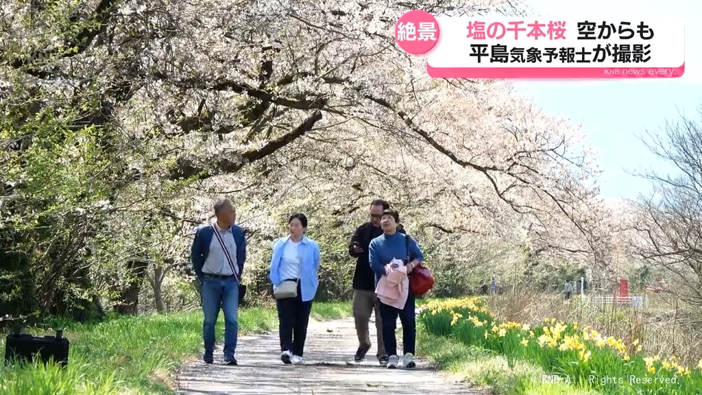 サクラと立山連峰の競演“塩の千本桜”青空に映える 9日午後から天気は