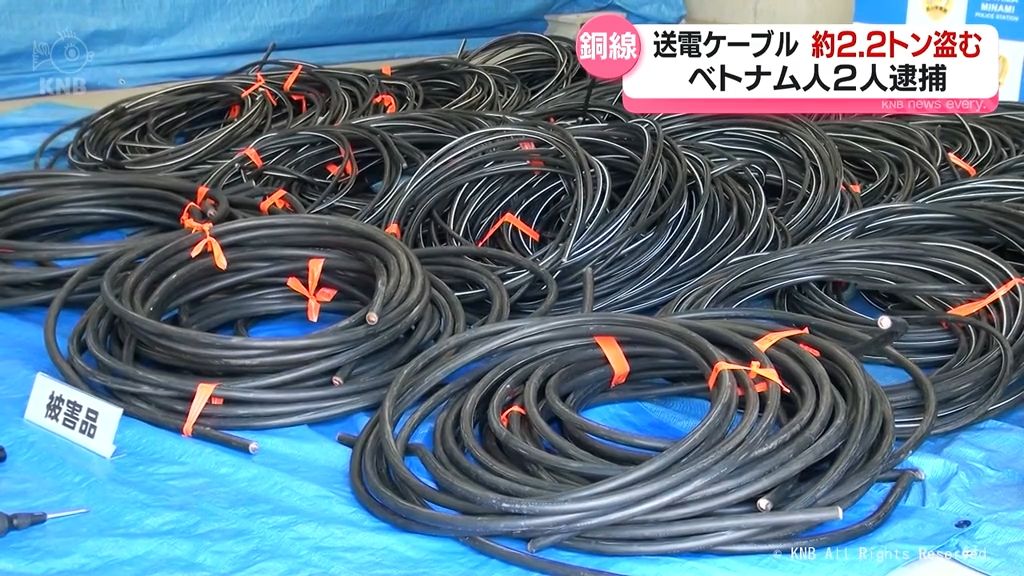 news.ntv.co.jp