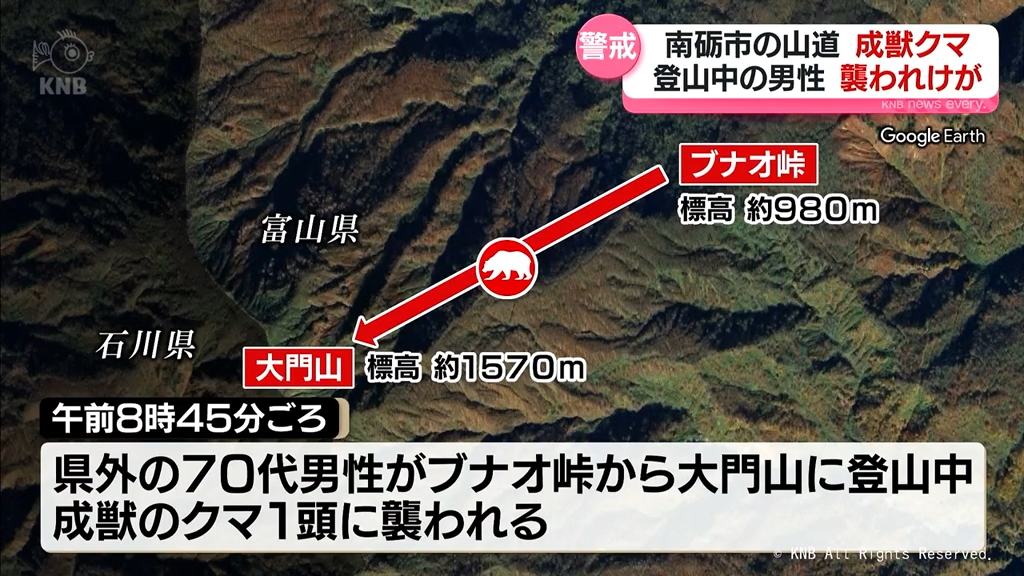 登山中の男性がクマに襲われけが　南砺市の山道