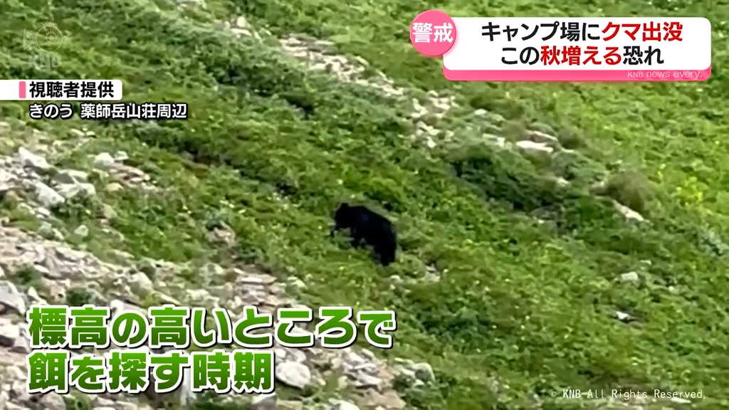 今秋はエサが不作の恐れも… 人里への出没増えるクマ 対策は？ 富山