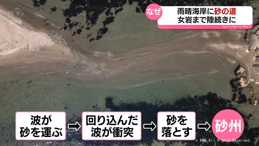 独自】雨晴海岸に出現した“砂の道”現象 能登半島地震の影響の可能性を