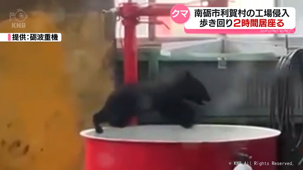 工場にクマが 2時間居座る 南砺市利賀村（2025年6月17日掲載）｜KNB