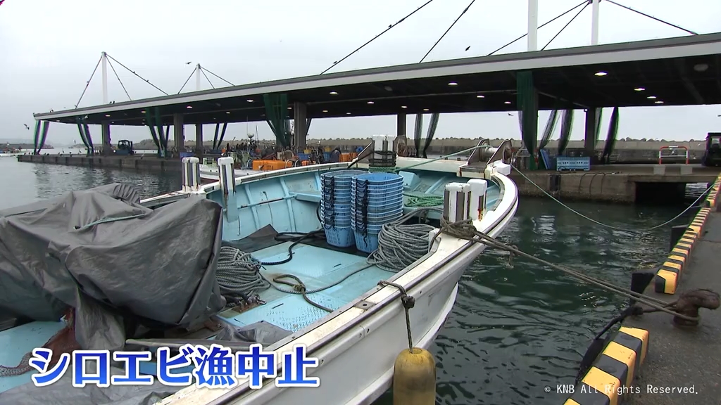 海が荒れたので仕方ない」シロエビ漁解禁も…悪天候で休漁 新湊と岩瀬の