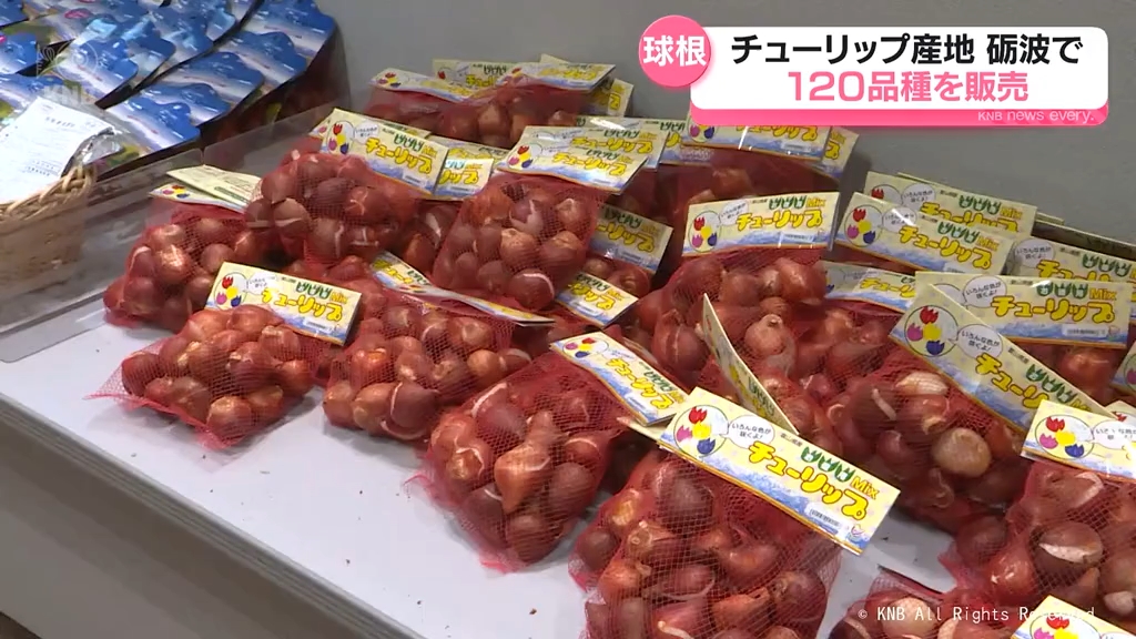 １２０品種が通常の２割引き販売　となみチューリップ球根まつり　富山県砺波市