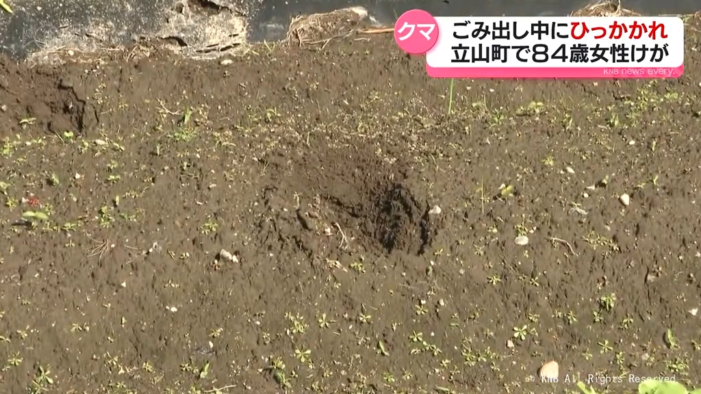 何が起こったのか分からなかった」84歳女性がクマに引っかかれ軽いけが