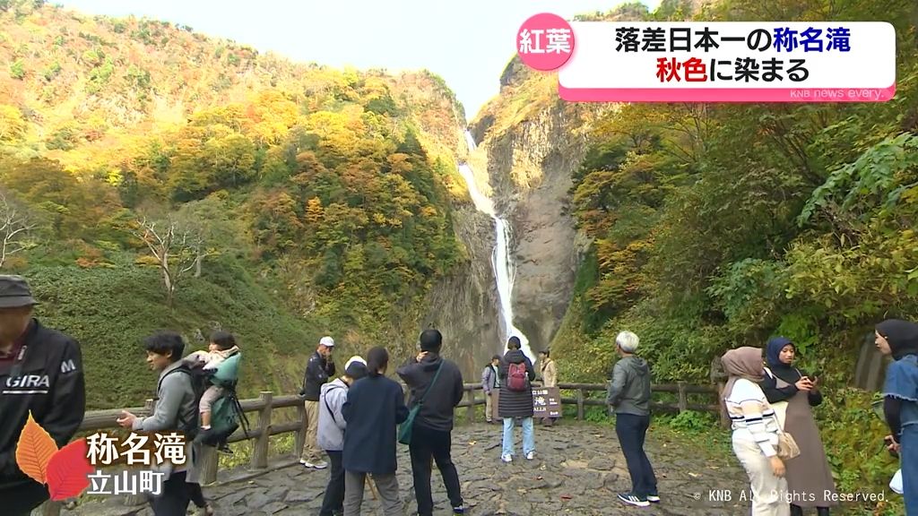 滝と鮮やかなコントラスト　称名滝周辺の紅葉が見頃