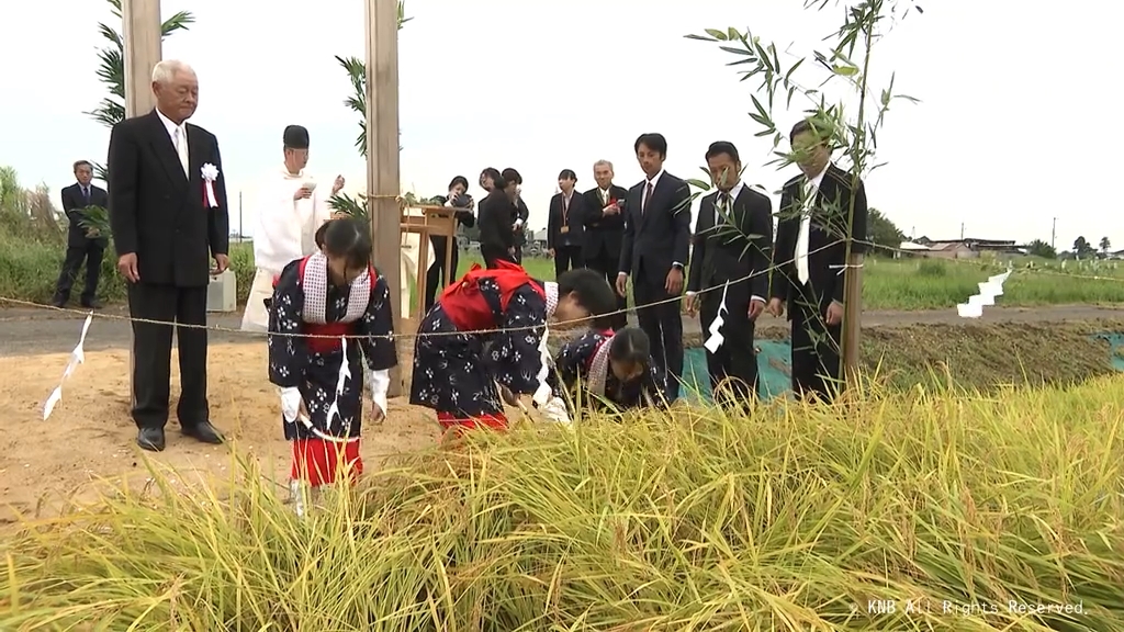 ２６年ぶりに立山町で　新嘗祭に納める献穀米を収穫する「抜穂祭」