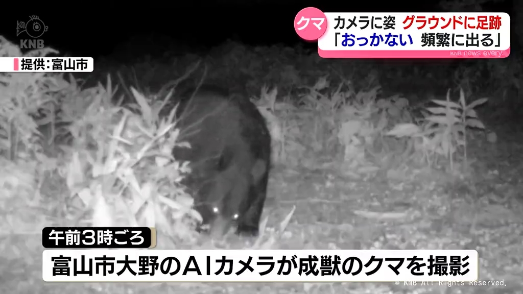おっかない こんなに頻繁に出ると」AIカメラにまたクマ 富山市大沢野で
