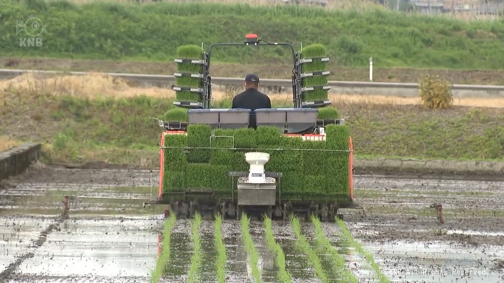 好天続き 主力品種コシヒカリの田植え進む 富山県内（2026年5月14日