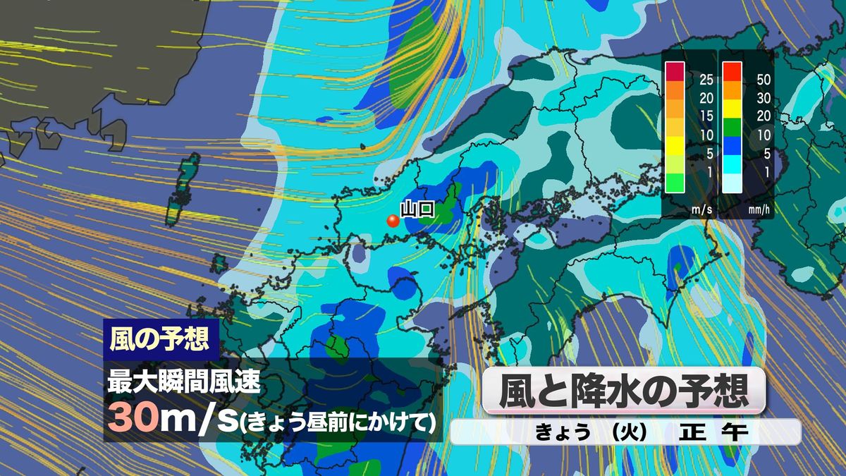 風と降水の予想