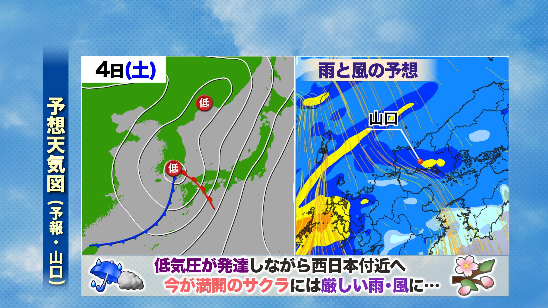 山口天気 夕刊4/1】雨が上がったらサクラ鑑賞を！ 木～金曜は日ざし