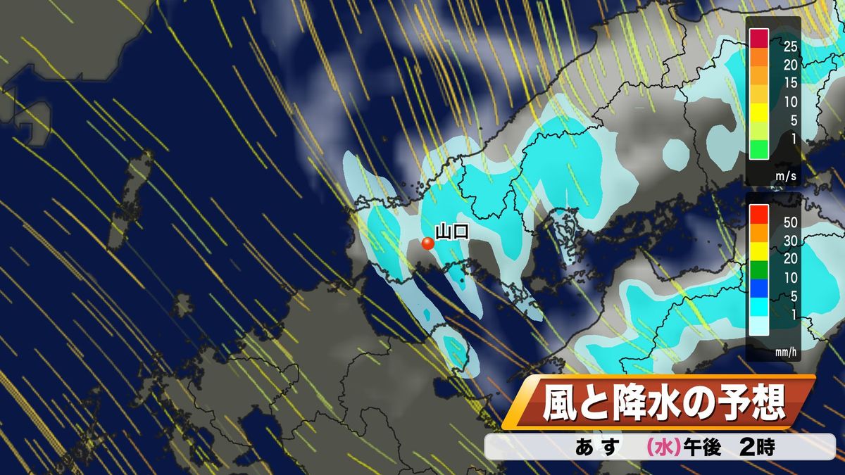 20日(水･祝)の雨風予想